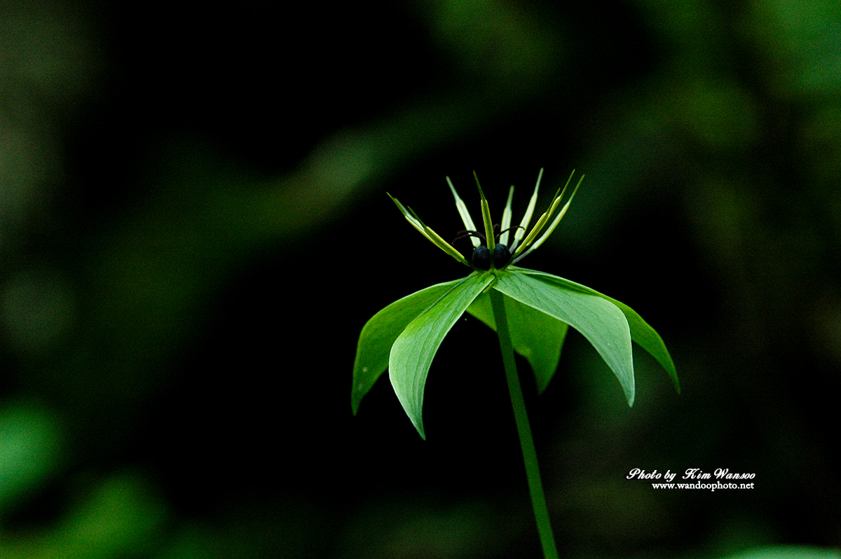 okohcr_0002_1.jpg