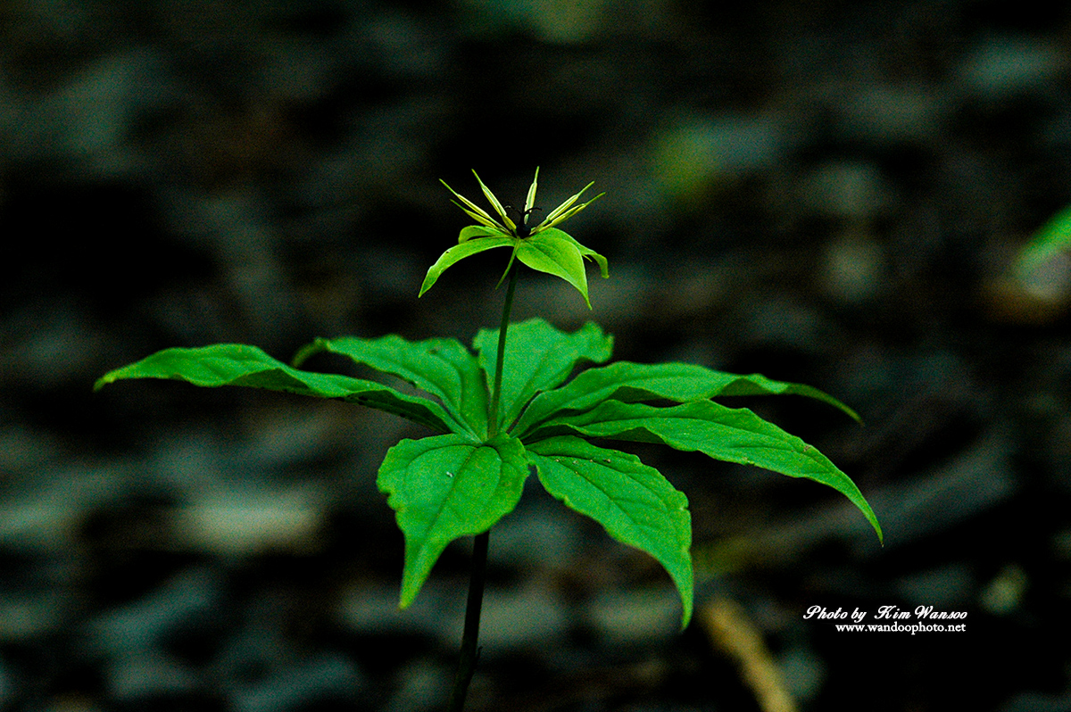 okohcr_0001_1.jpg