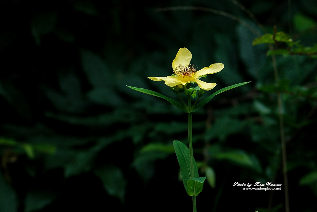 otokcg_0060_1.jpg