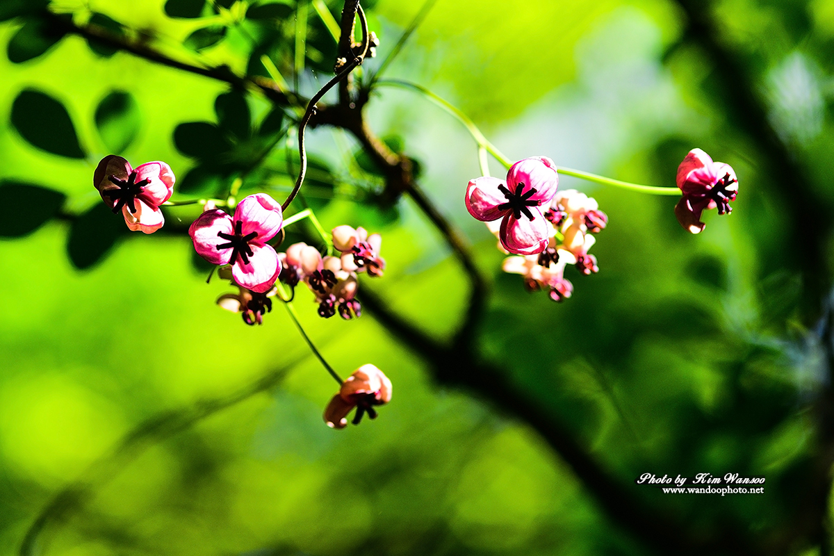 nkohng_8037_1.jpg