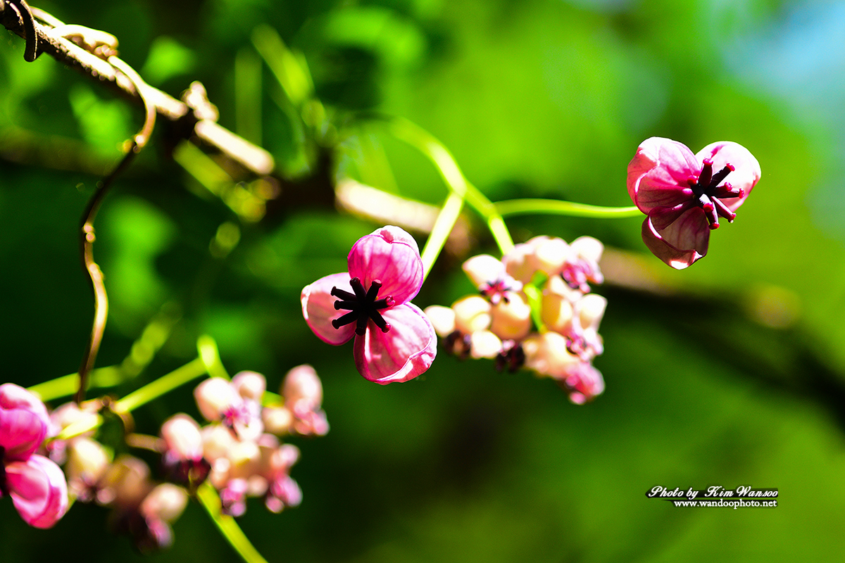 nkohng_8027_1.jpg