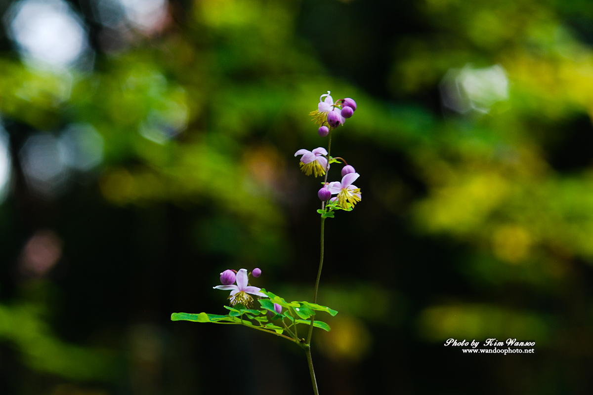 wnorcr_2279_1.jpg