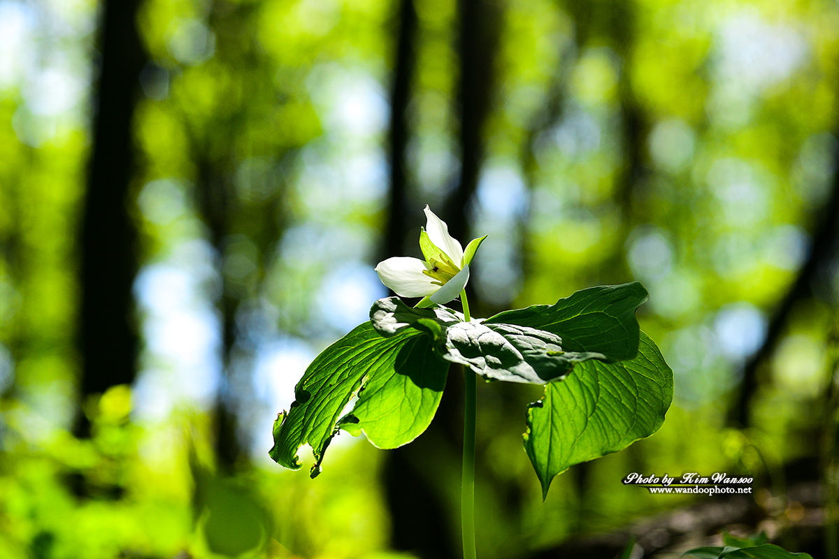 ntohng_1747_1.jpg