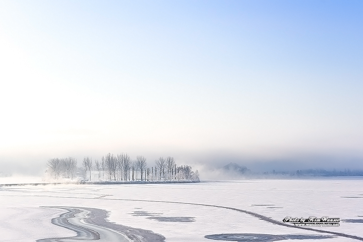 ngnccn_0072_1.jpg