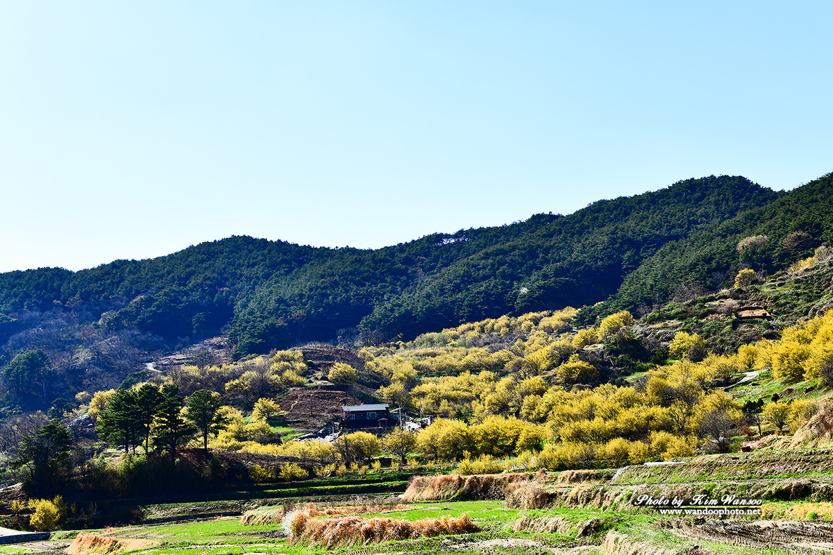 ceoect_3753_1.jpg