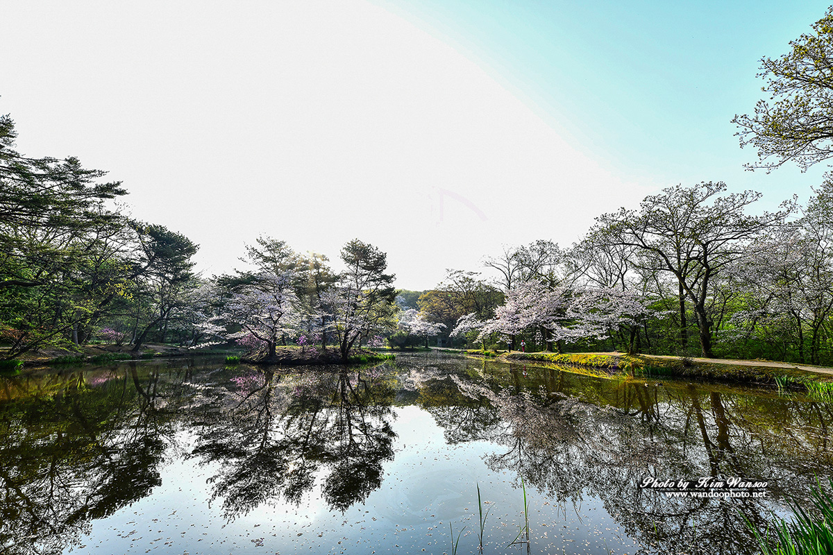 ckognh_3340_1.jpg