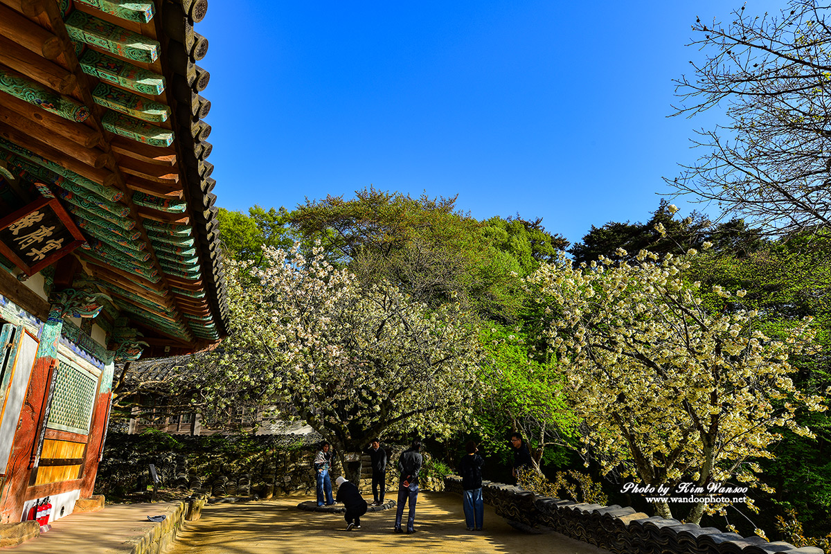 ckogco_3633_1.jpg