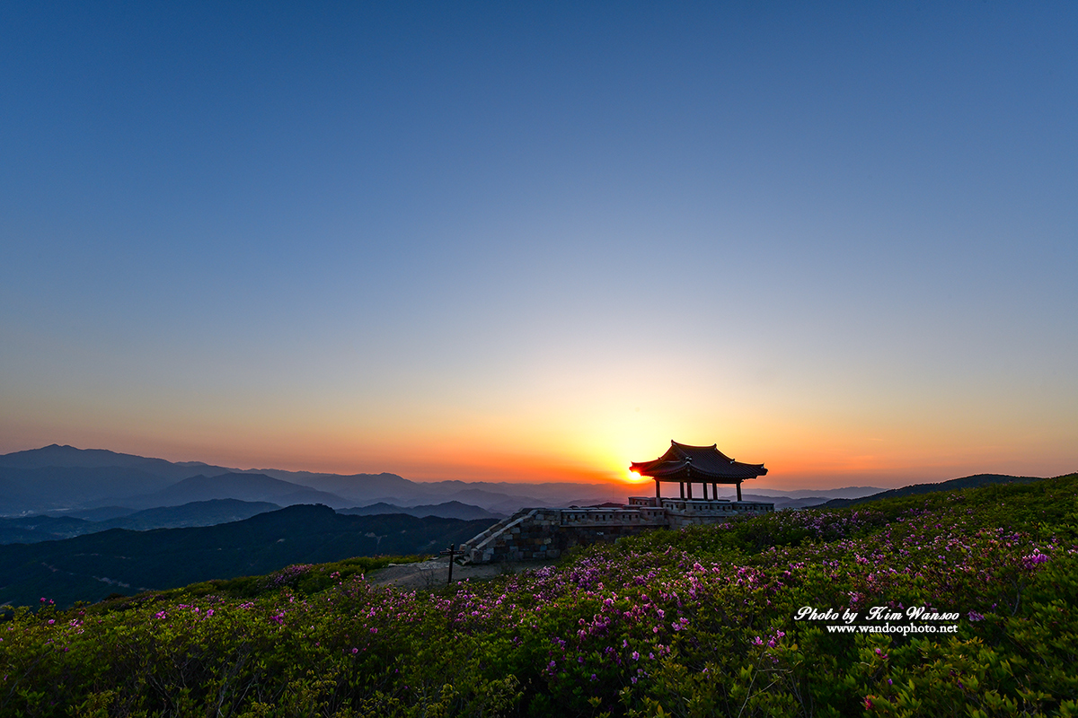 ckphnp_4089_1.jpg